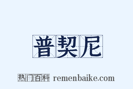 普契尼是什么意思的图片